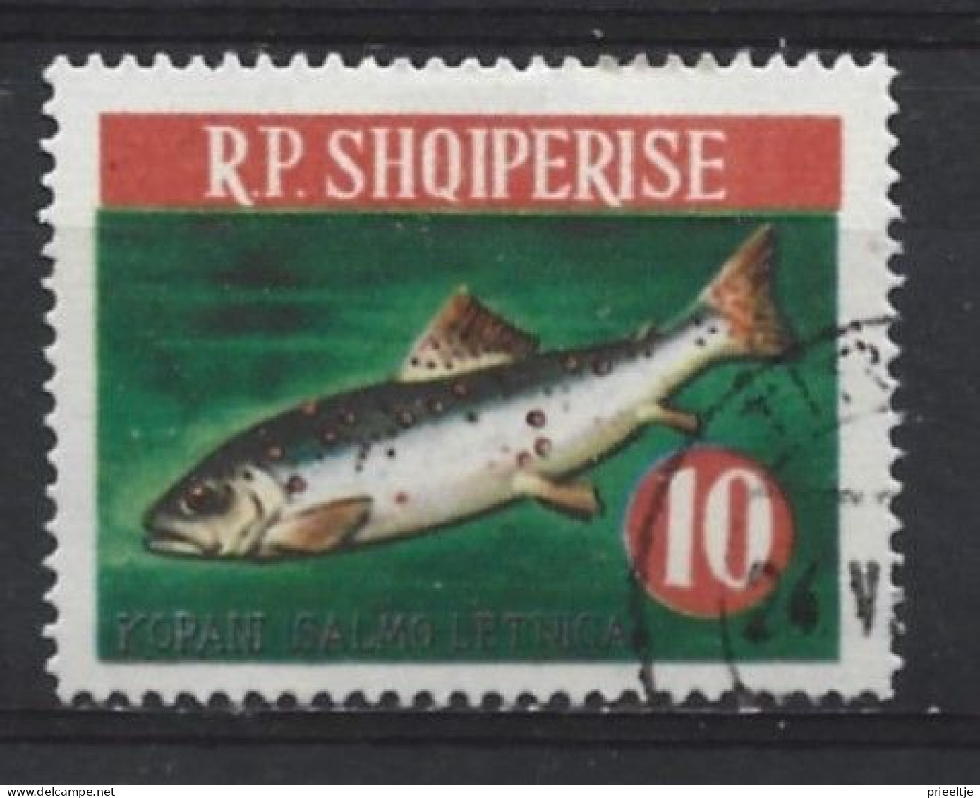 Albania 1964 Fish Y.T. 676  (0) - Albanië
