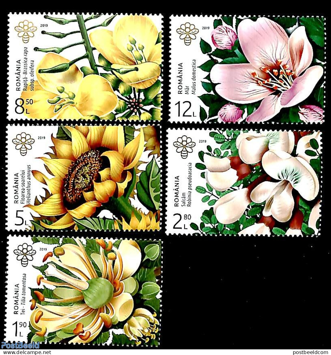 Romania 2019 Flowers 5v, Mint NH, Nature - Flowers & Plants - Neufs