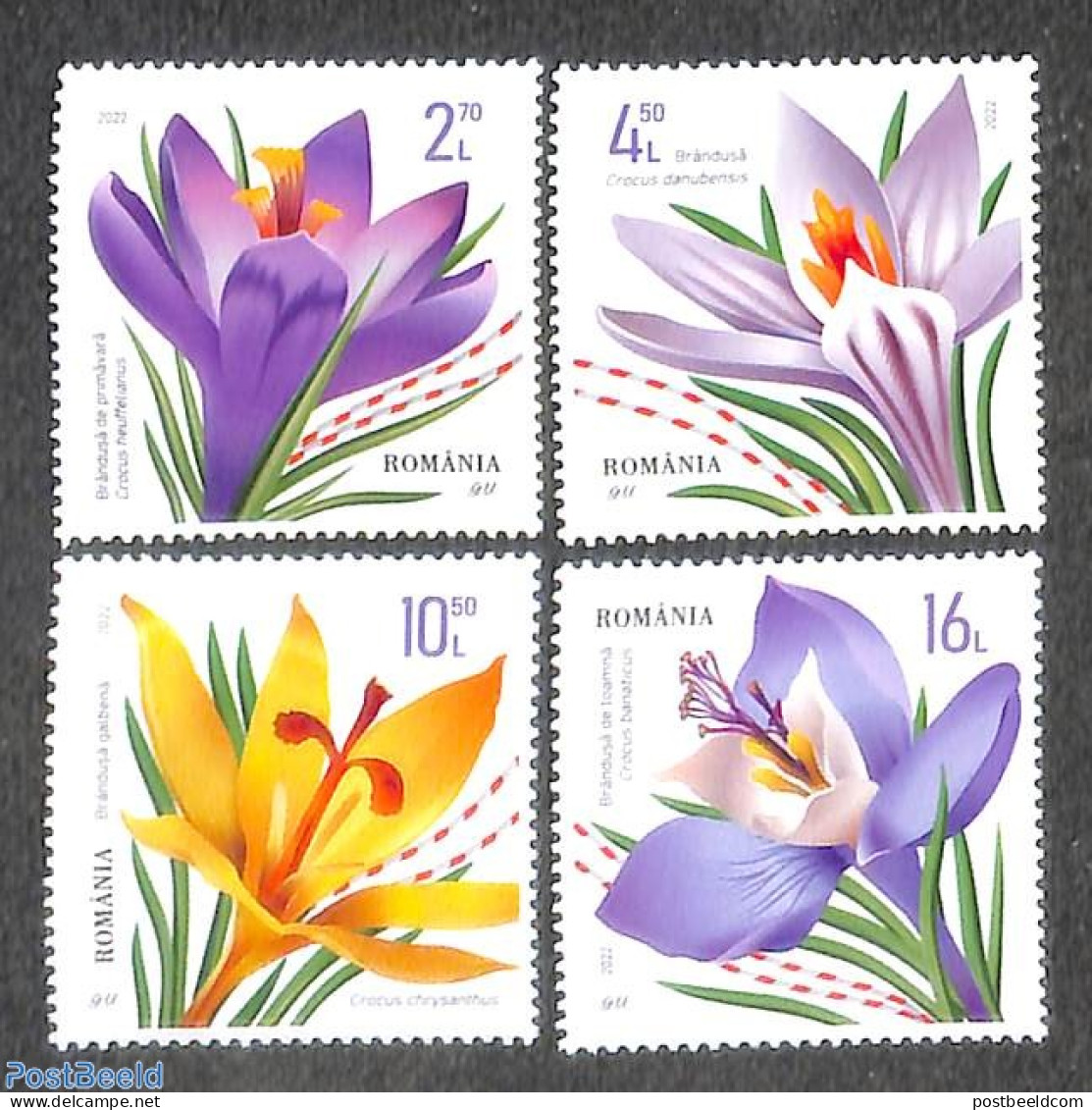 Romania 2022 Crocuses 4v, Mint NH, Nature - Flowers & Plants - Unused Stamps