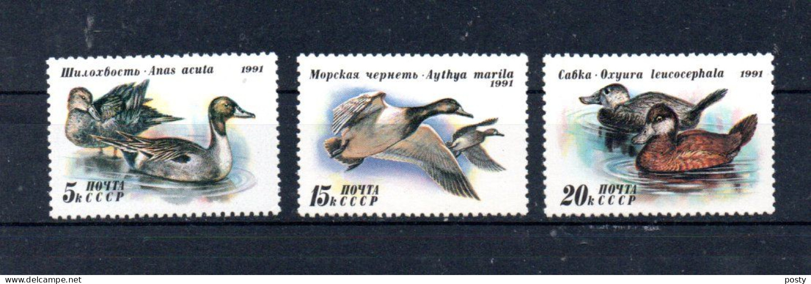 RUSSIE - RUSSIA - 1991 - OISEAUX - BIRDS - VÔGEL - CANARDS - DUCKS - ENTEN - - Unused Stamps
