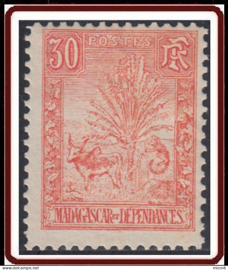 Madagascar 1889-1906 - N° 71 (YT) N° 66 (AM) Neuf *. - Unused Stamps