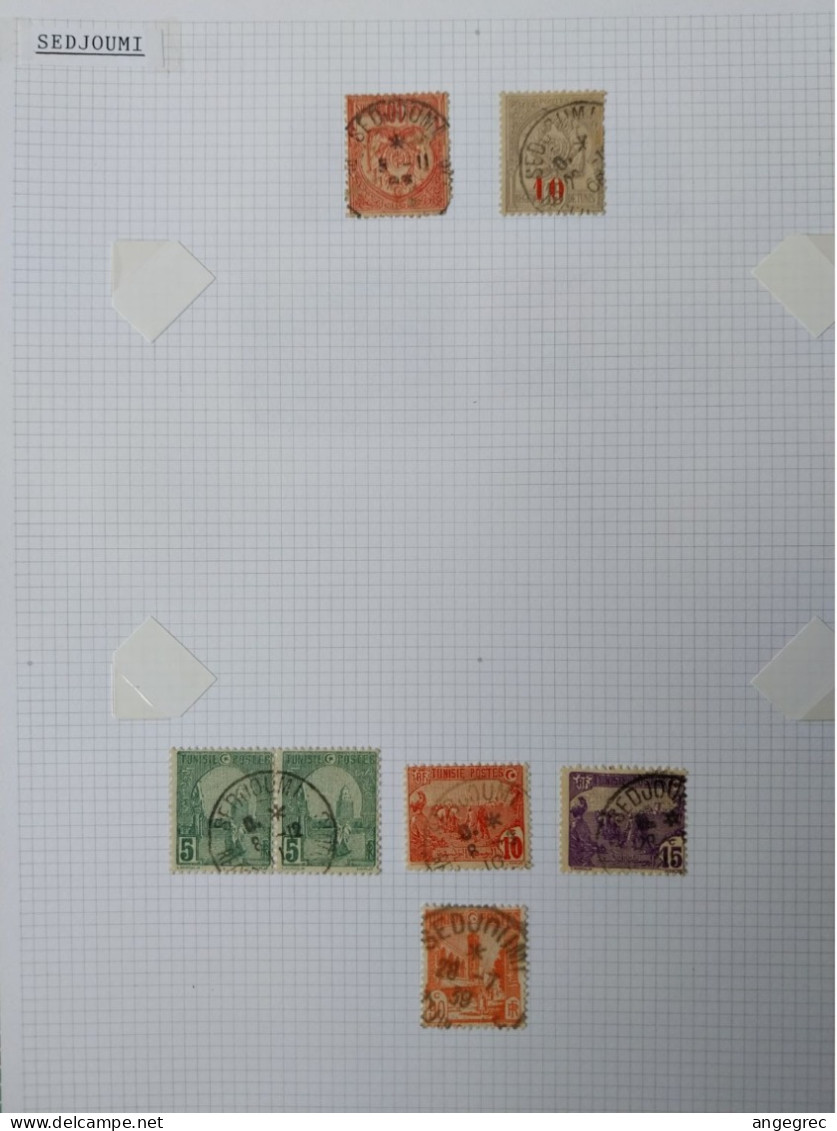 Tunisie Lot Timbre Oblitération Choisies Sed Joumi      Voir Scan - Used Stamps