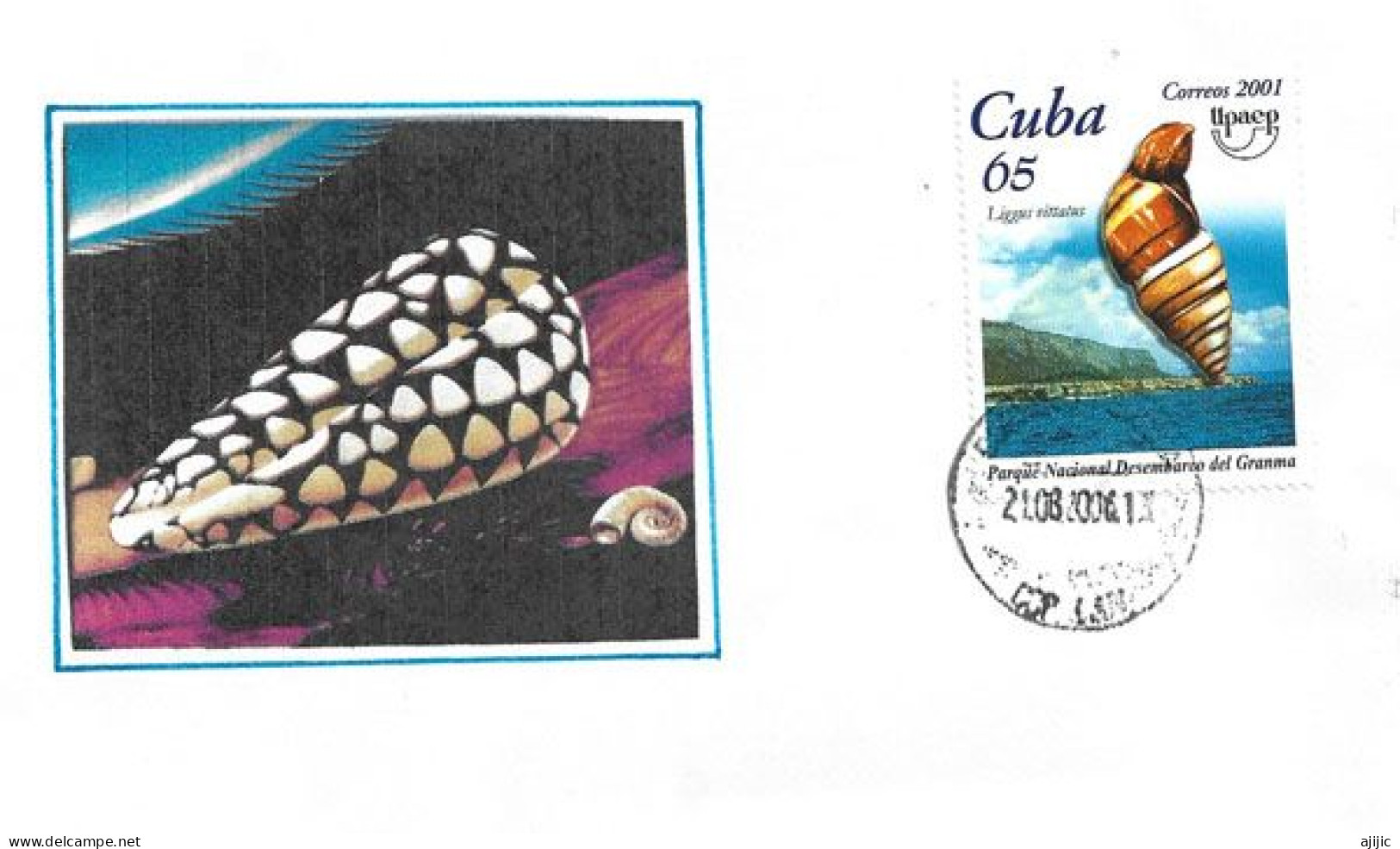 Coquillage Liguus Vittatus (Parque  Nacional Desembarco Del Granma)  Sur Lettre Cuba - Conchas