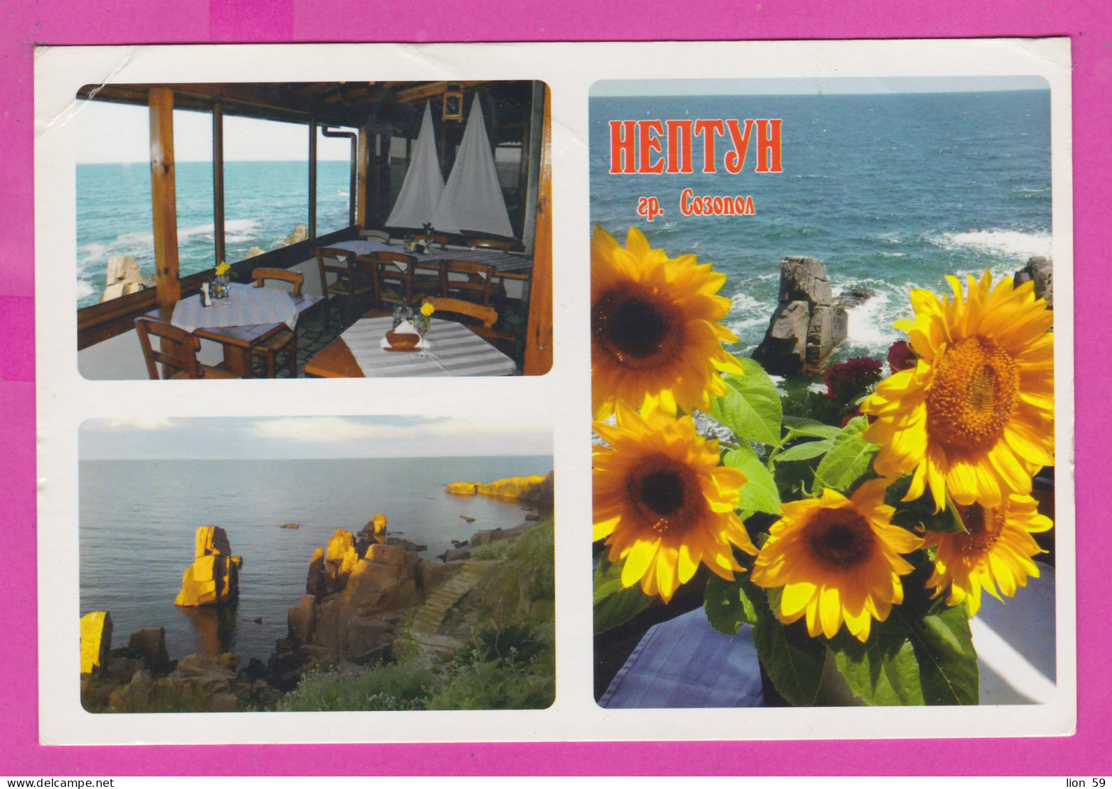 310958 / Bulgaria - Sozopol - Tavern Restaurant "Neptune" Interior , Black Sea Rock , Common Sunflower Plant PC  - Hotel's & Restaurants