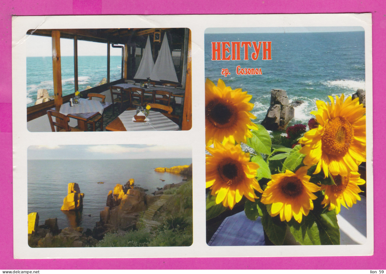 310958 / Bulgaria - Sozopol - Tavern Restaurant "Neptune" Interior , Black Sea Rock , Common Sunflower Plant PC  - Hoteles & Restaurantes