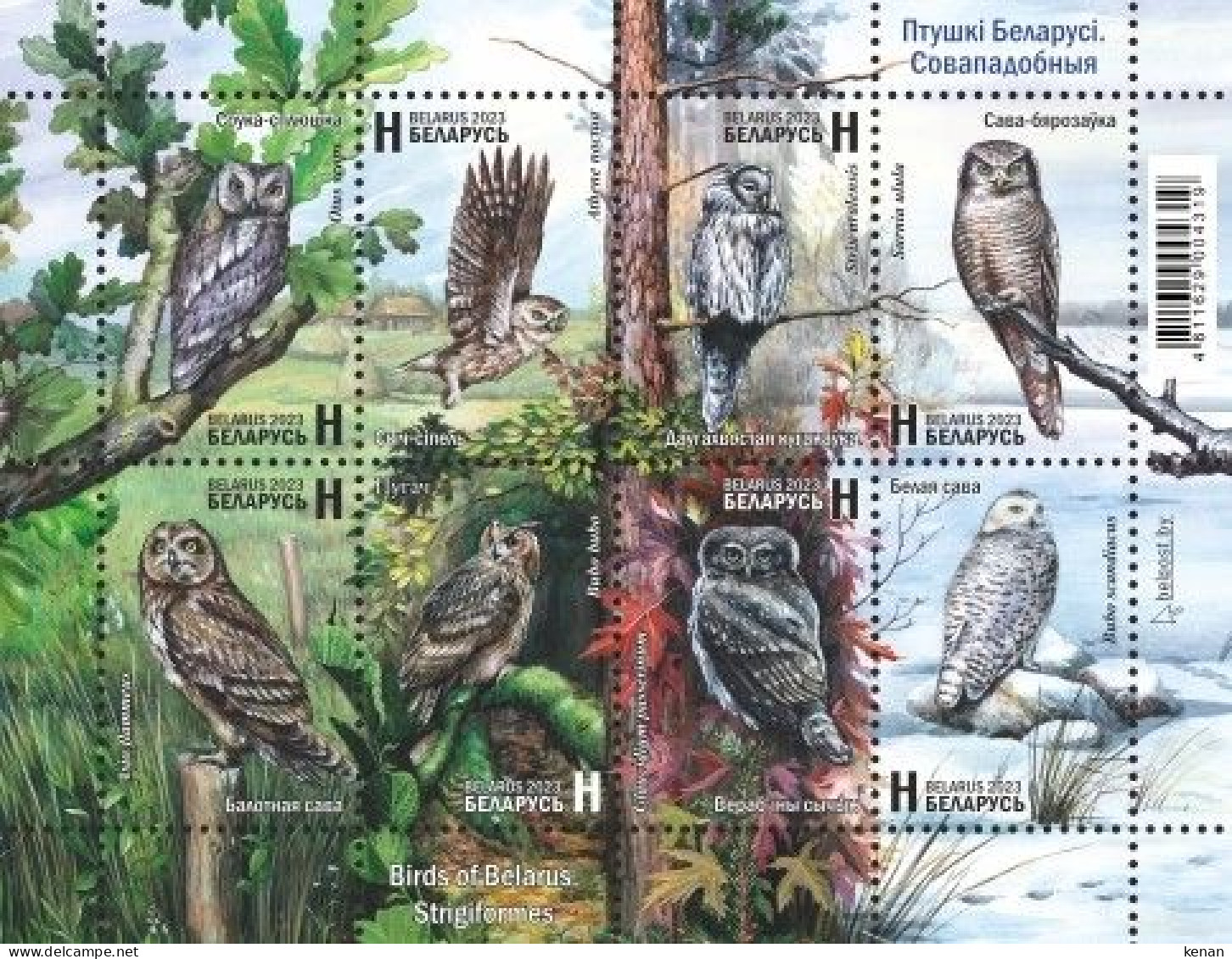 Belarus, 2023,  Birds Of Belarus - Stringiformes (MNH) - Bielorussia