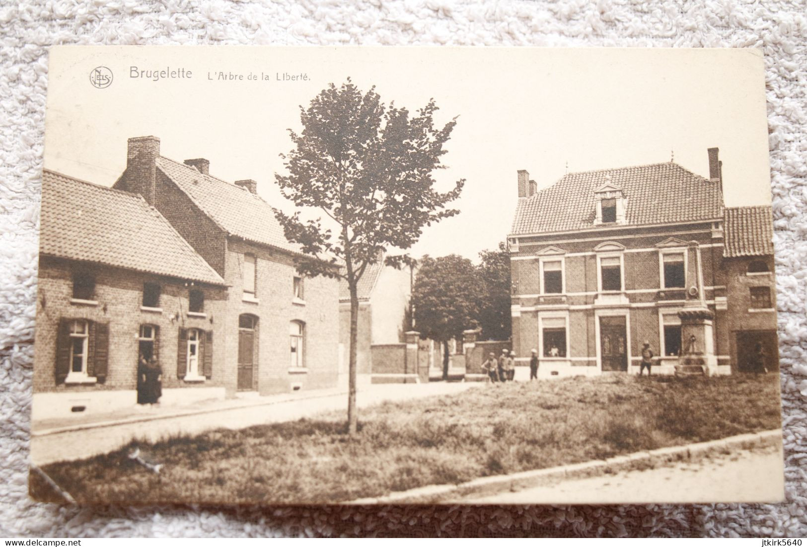 Brugelette "L'arbre De La Liberté" - Brugelette