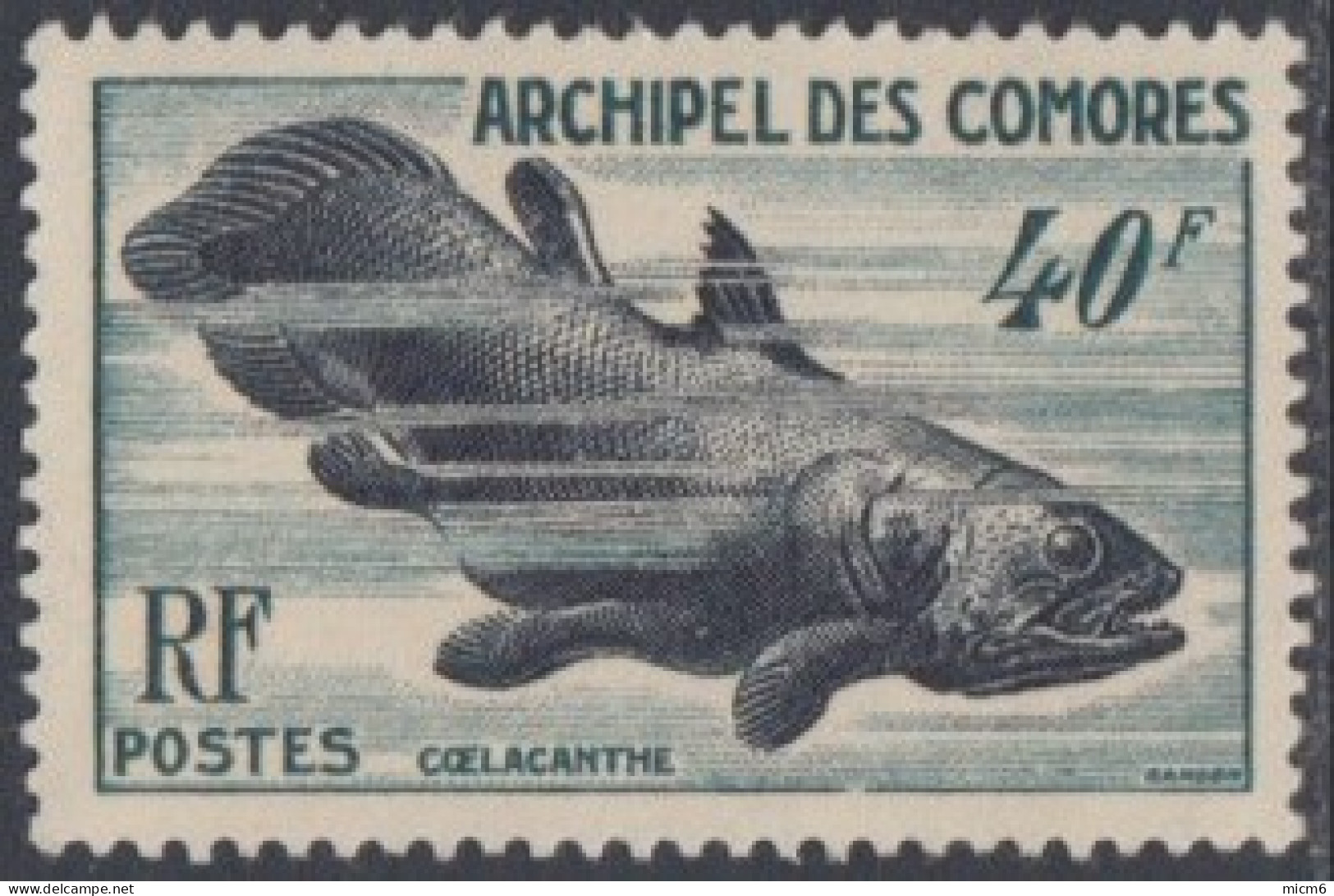 Comores (Archipel Des) - N° 13 (YT) N° 13 (AM) Neuf **. - Unused Stamps