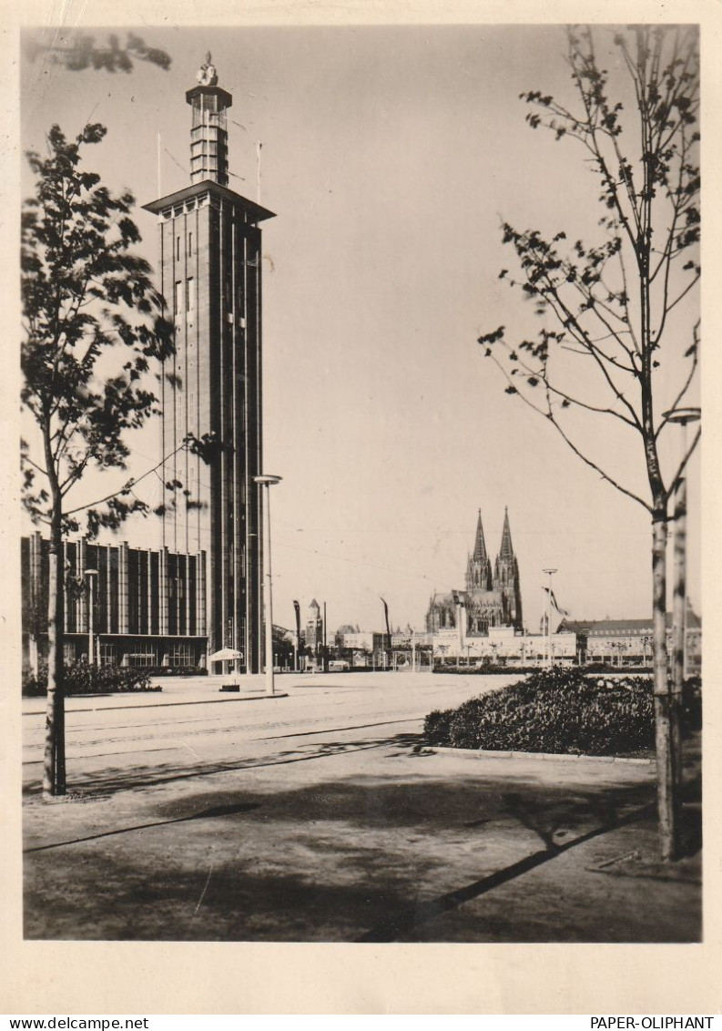 5000 KÖLN - DEUTZ, Mesegelände, Eisverkäufer, 1951.. Kl. Druckstelle, Großformat, Keine Vetlagsangaben - Koeln