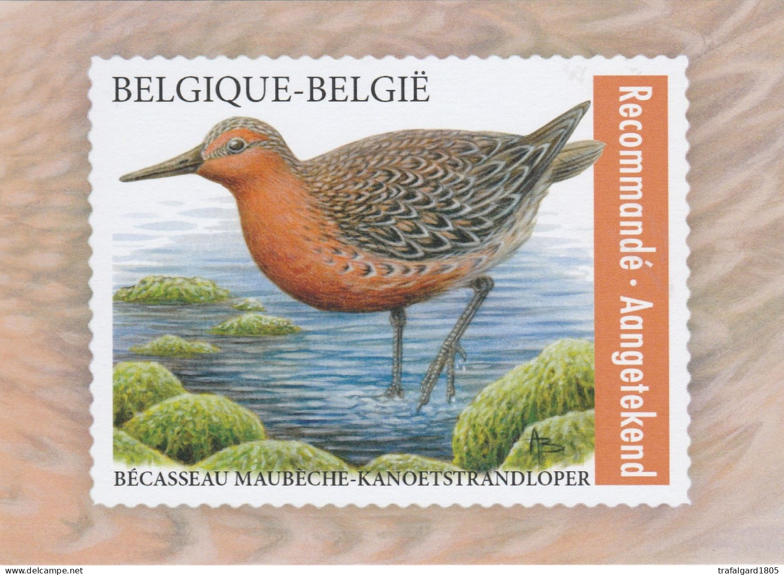 8.BUZIN.LE BECASSEAU MAUBECHE - 1985-.. Vogels (Buzin)