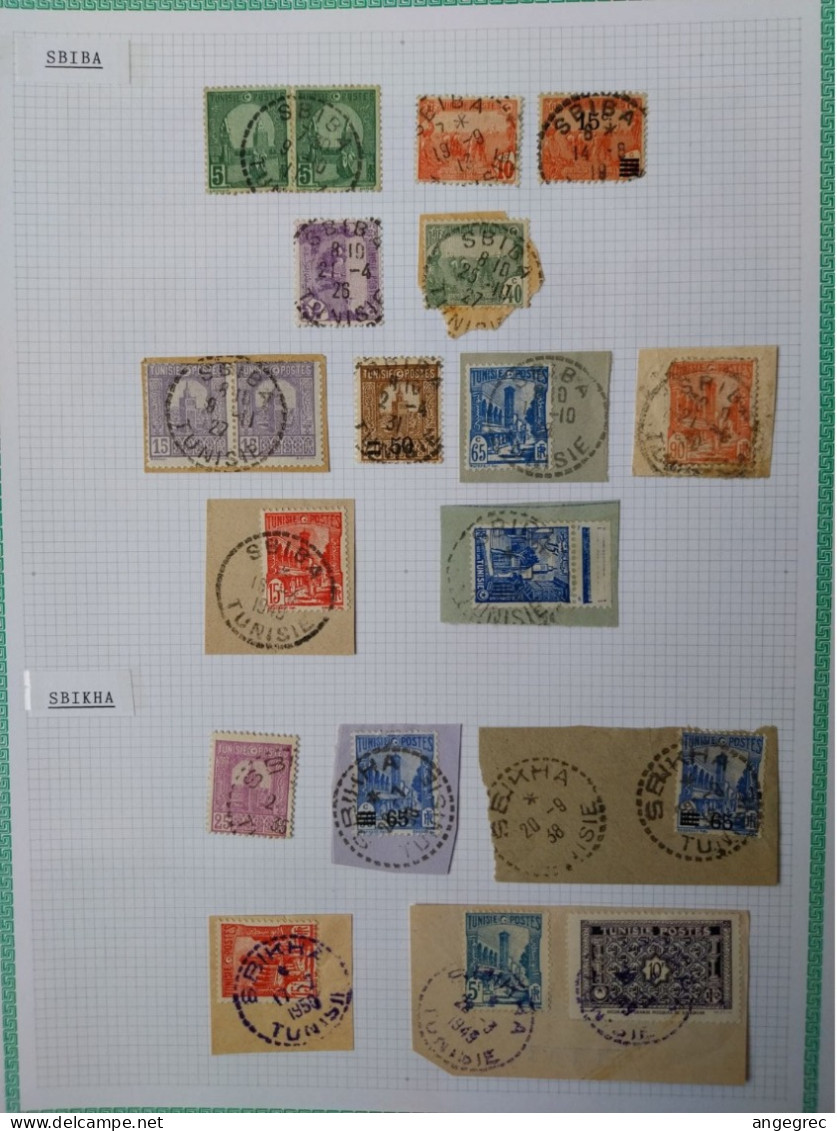Tunisie Lot Timbre Oblitération Choisies  Sbiba, Sbikha   Dont Fragment  Cachet Perlé, Bleu  Voir Scan - Used Stamps