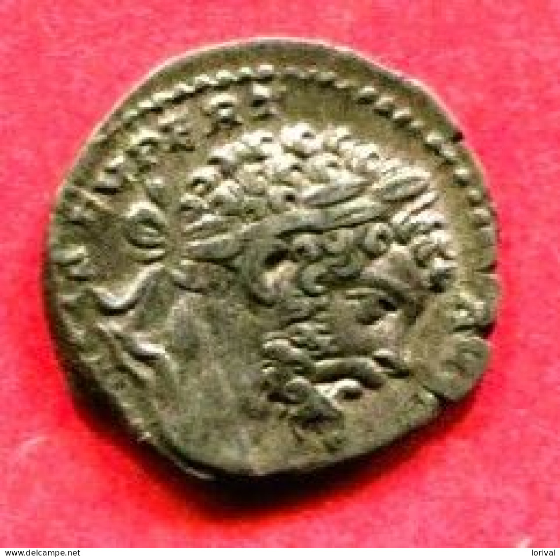 SEPTIME SEVERE Denier ( C36) TB 38 - The Severans (193 AD Tot 235 AD)