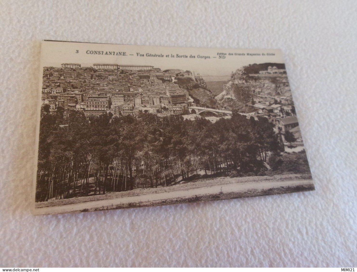 BELLE CARTE ..VUE GENERALE ET LA SORTIE DES GORGES  (vente A 1.70 Euros) - Constantine