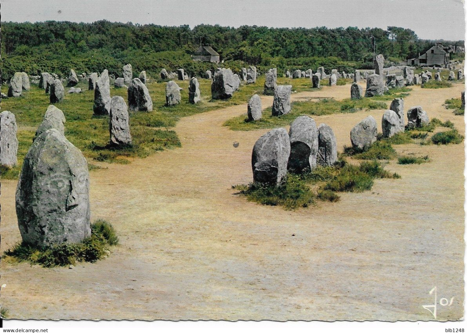 [56] Morbihan > Carnac Les Alignements Du Menec Ensemble Megalithique - Carnac