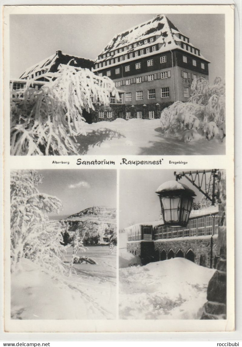 Altenberg, Sanatorium "Raupennest", Erzgebirge - Altenberg