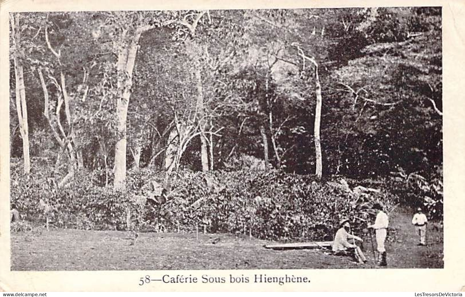 Nouvelle Calédonie - Caférie Sous Bois Hienghène  - Animé - Carte Postale Ancienne - Nieuw-Caledonië