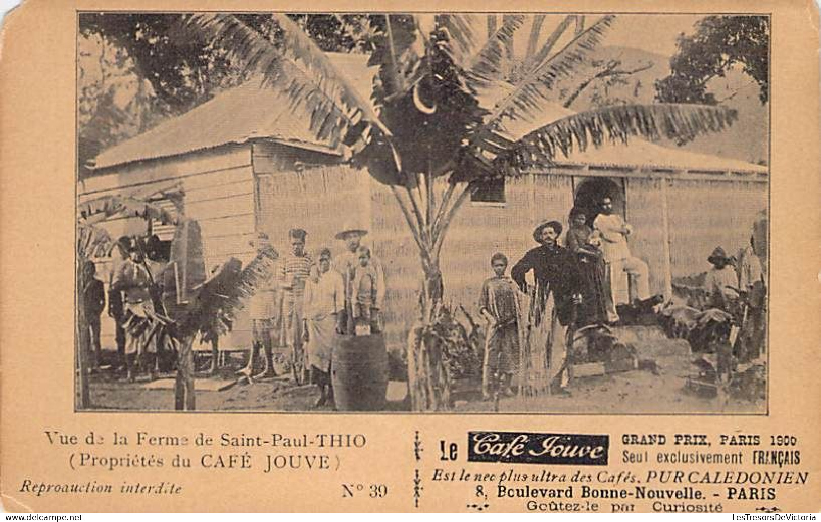 Nouvelle Calédonie - Vue De La Ferme De Saint Paul Thio - Café Jouve  - Animé - Carte Postale Ancienne - Nieuw-Caledonië