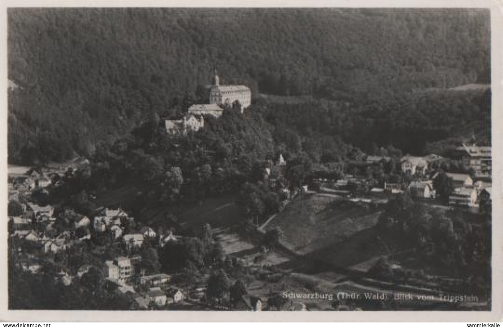 13500 - Schwarzburg V. Trippstein Gesehen - 1938 - Saalfeld