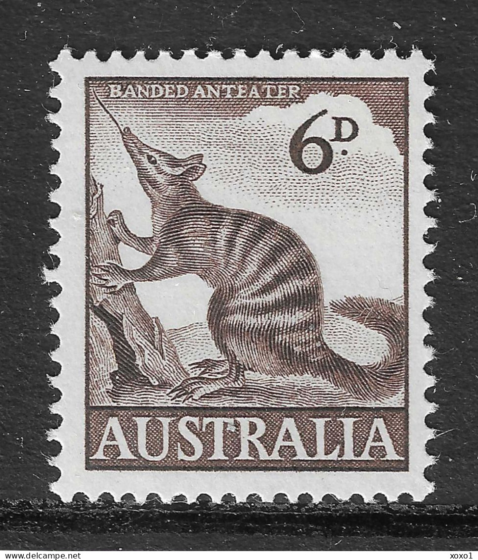 Australia 1960 MiNr. 294  Australien Mammals Numbat (Myrmecobius Fasciatus) 1v MNH** 0.50 € - Otros & Sin Clasificación