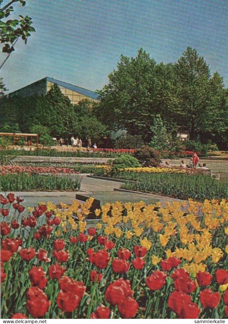 33089 - Essen - Bundesgartenschau, Farbenterrassen - 1965 - Essen