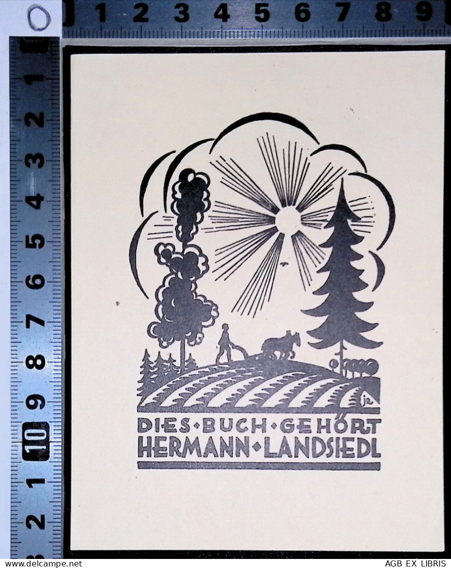 1925 EX LIBRIS JORG REITTER X HERMANN LANDSIEDL EXLIBRIS PROFILO ALBERI ARATRO ARATORE TRA  ALBERI SOLE - Ex-libris