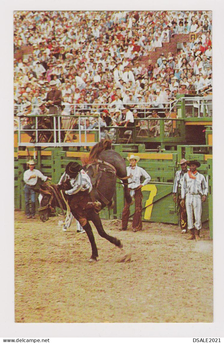 USA United States THRILLS AT THE RODEO, Texas, View Vintage Photo Postcard RPPc AK (42357) - Other & Unclassified