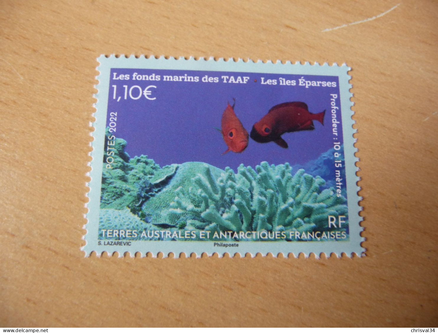 TIMBRE  TAAF    ANNEE  2022     N  1005    NEUF  LUXE** - Unused Stamps