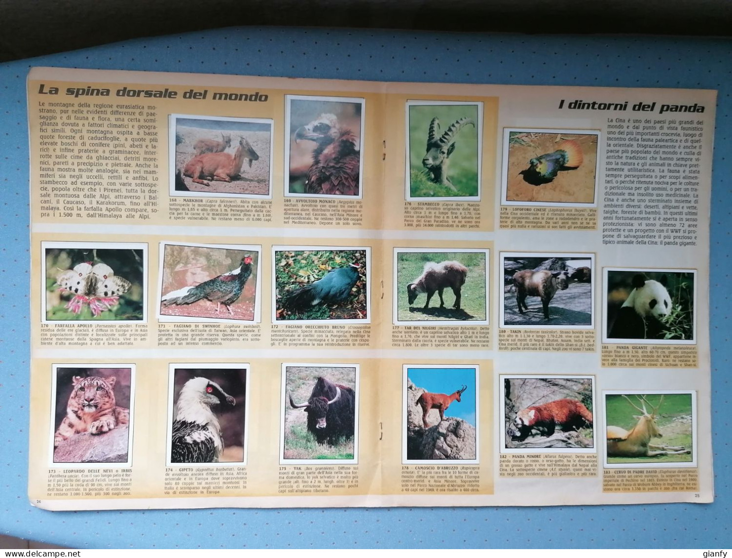 ALBUM FIGURINE PANINI WWF ANIMALI DA SALVARE COMPLETO 360/360 1986 - Altri & Non Classificati