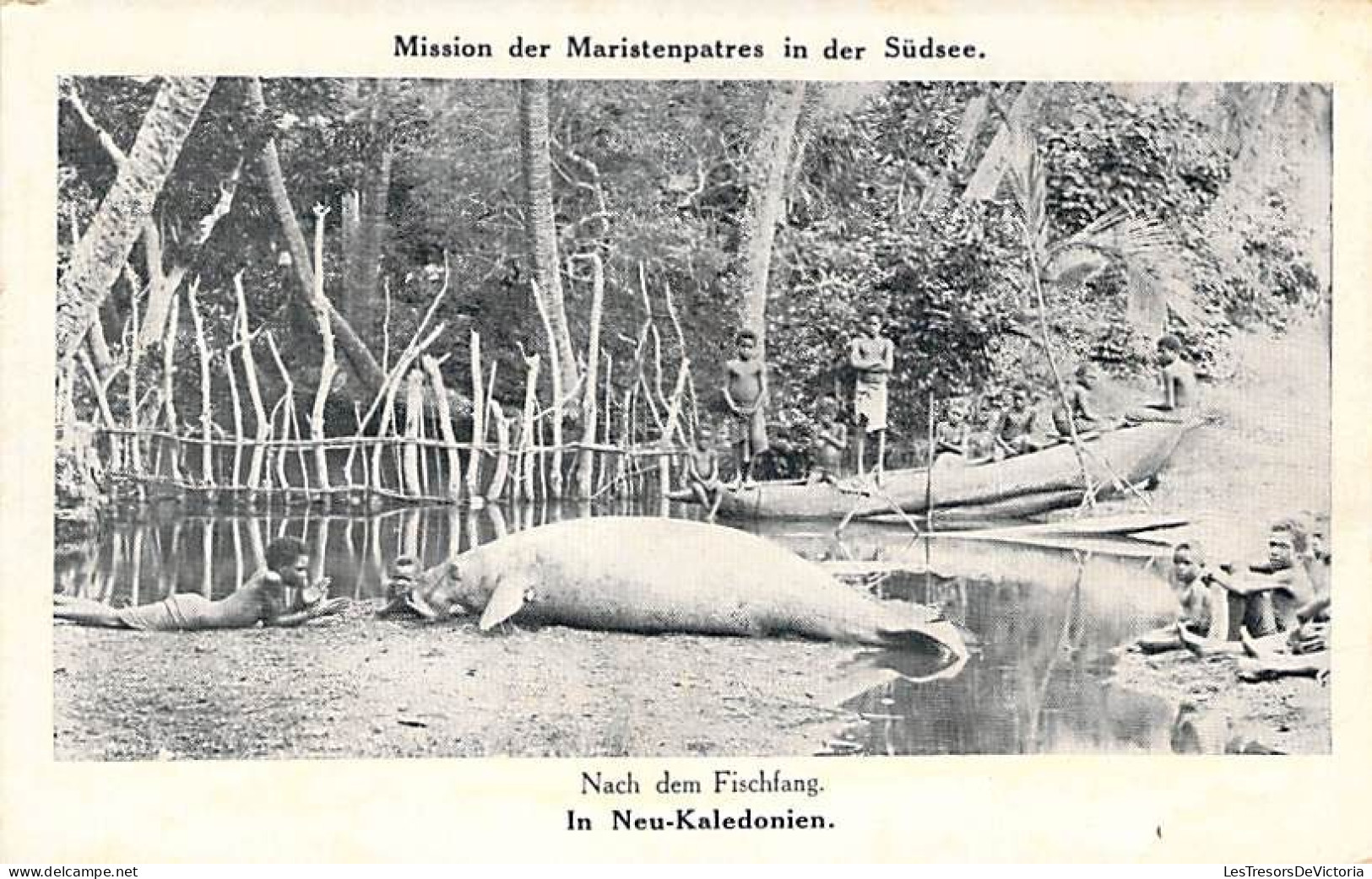 Nouvelle Calédonie - Mission Der Maristenpatres In Der Sudsee - Elephant De Mer - Carte Postale Ancienne - Nouvelle-Calédonie