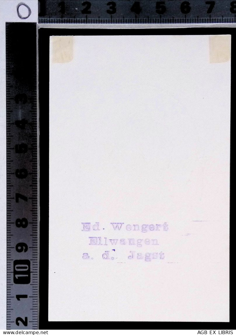 1913 EX LIBRIS EDUARD WENGERT X HELENE WENGERT EXLIBRIS PROFILO CORONA FIORI BLU IIa - Ex-libris