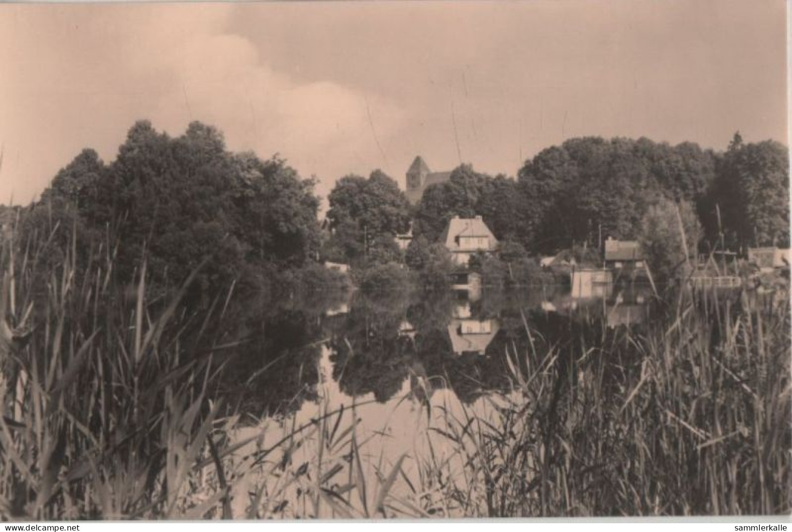 86105 - Penzlin - Blick Zur Stadt - 1962 - Neubrandenburg