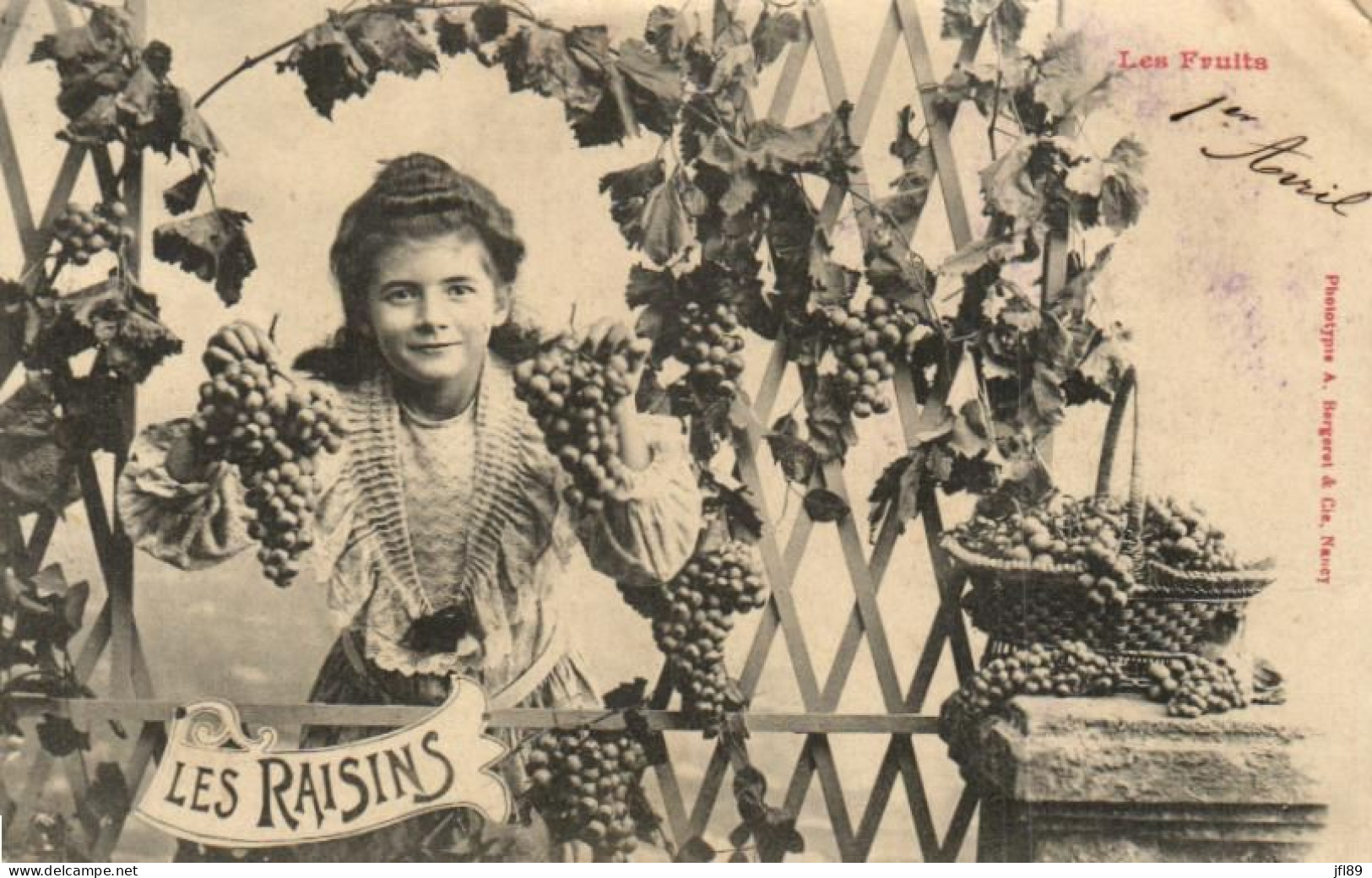 Thème - Agriculture - Vignes - Raisins - 6476 - Viñedos