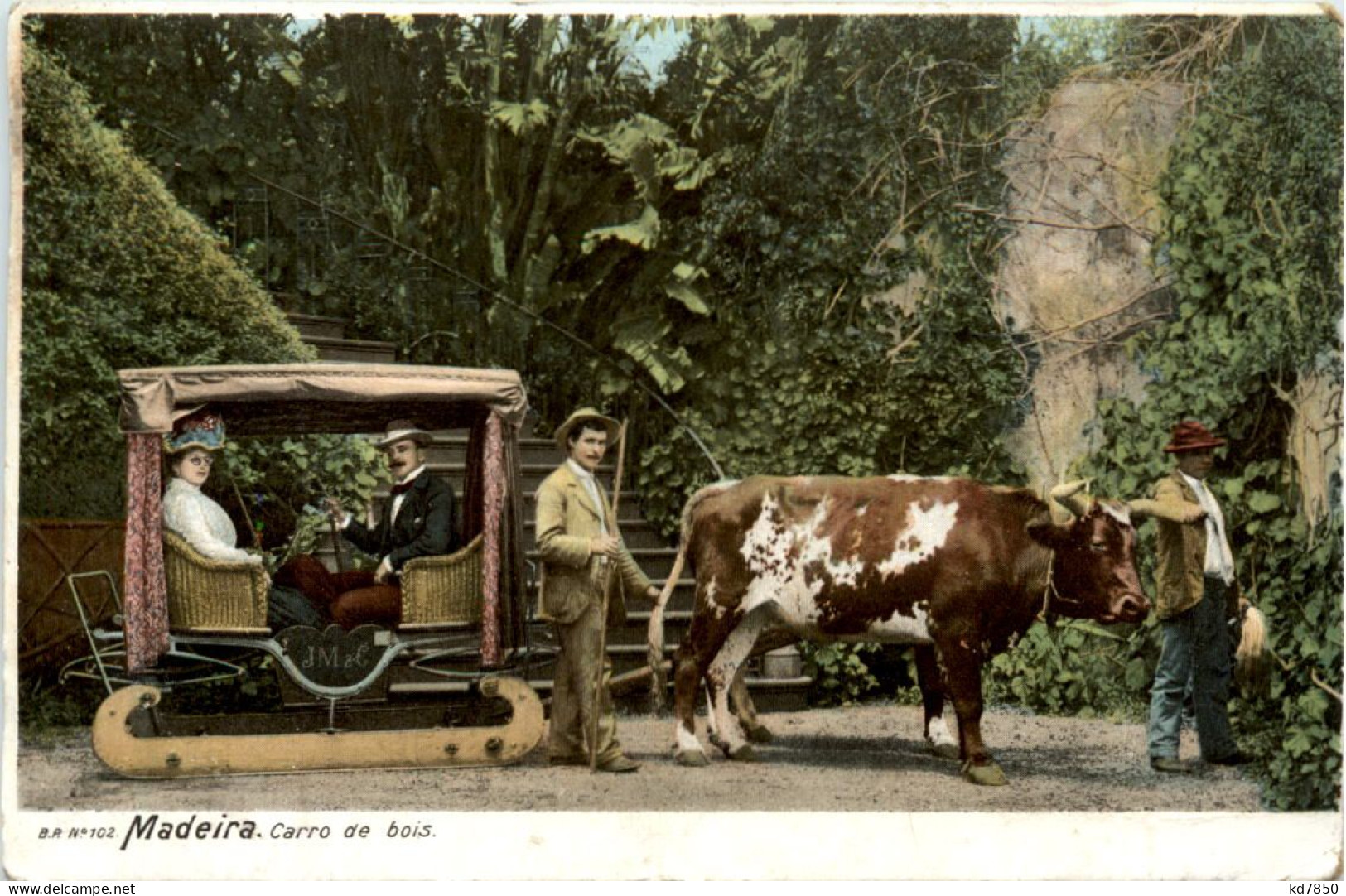 Madeira - Carro De Bois - Madeira