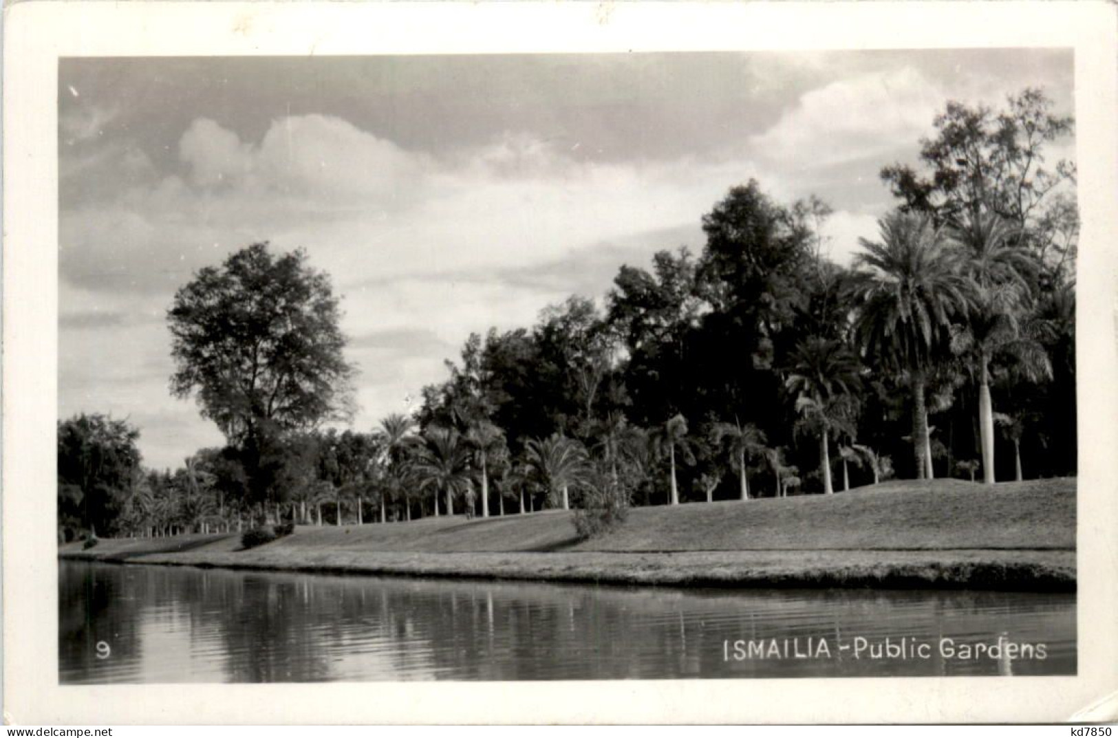 Ismailia - Public Gardens - Ismaïlia