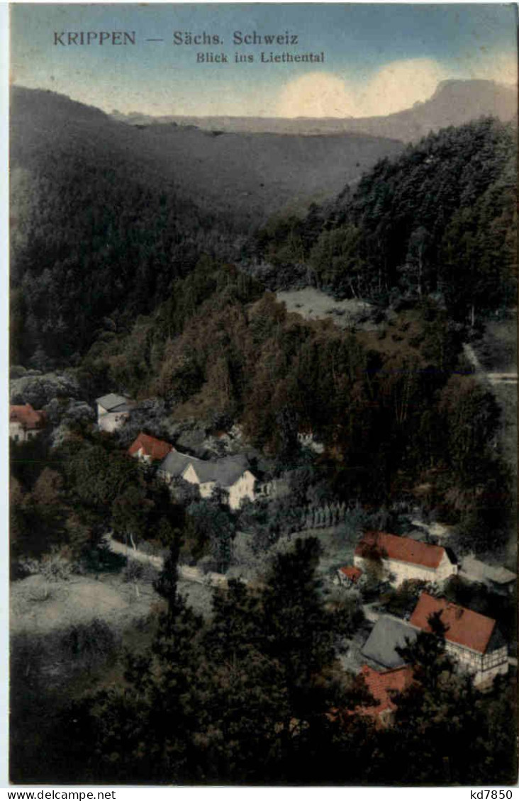 Krippen - Blick Ins Liethental - Bad Schandau