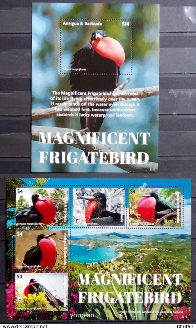 Antigua And Barbuda 2022, Magnificent Frigatebird, Two MNH S/S - Antigua Und Barbuda (1981-...)