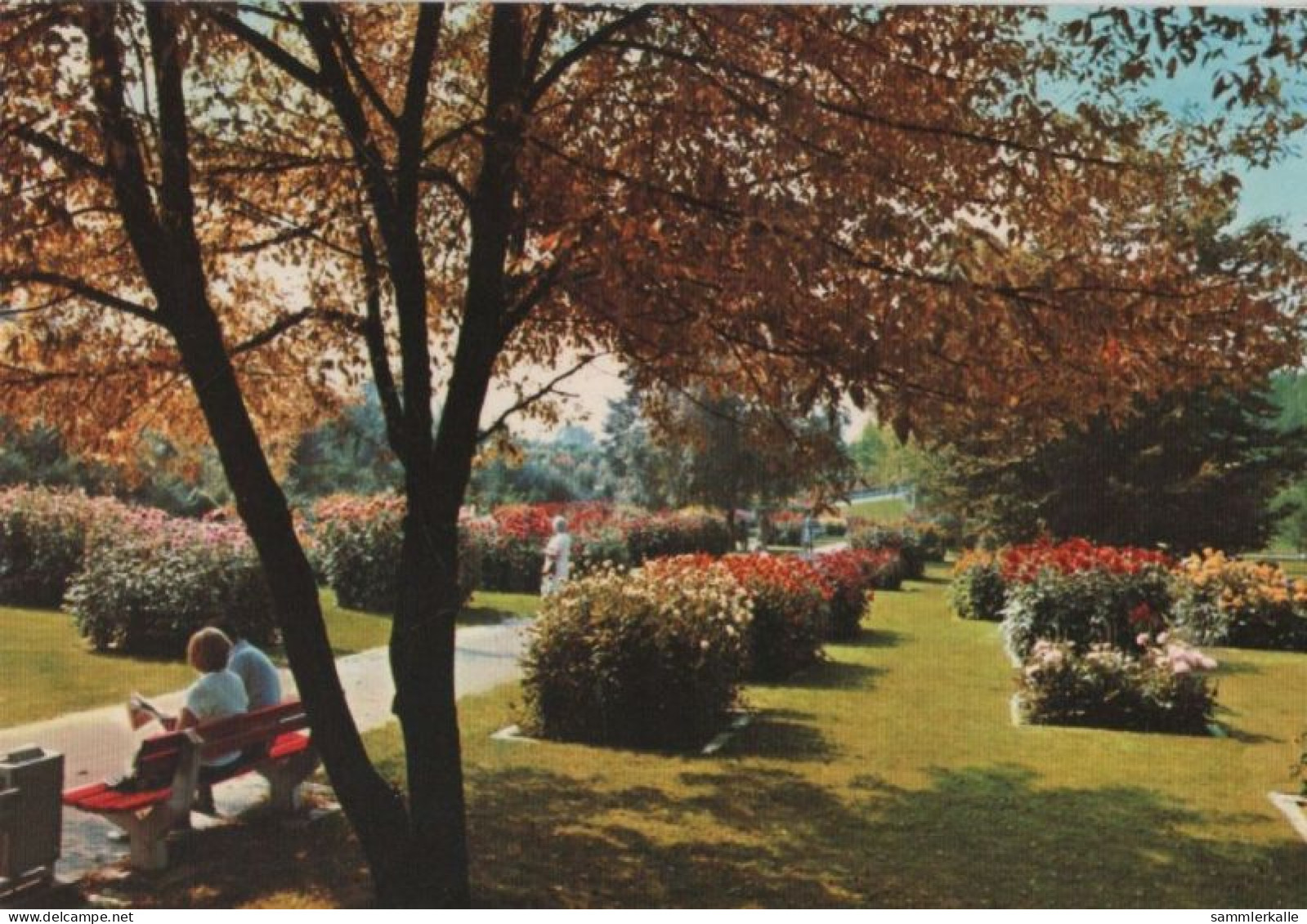 99377 - Bad Krozingen - Im Kurpark - Ca. 1980 - Bad Krozingen