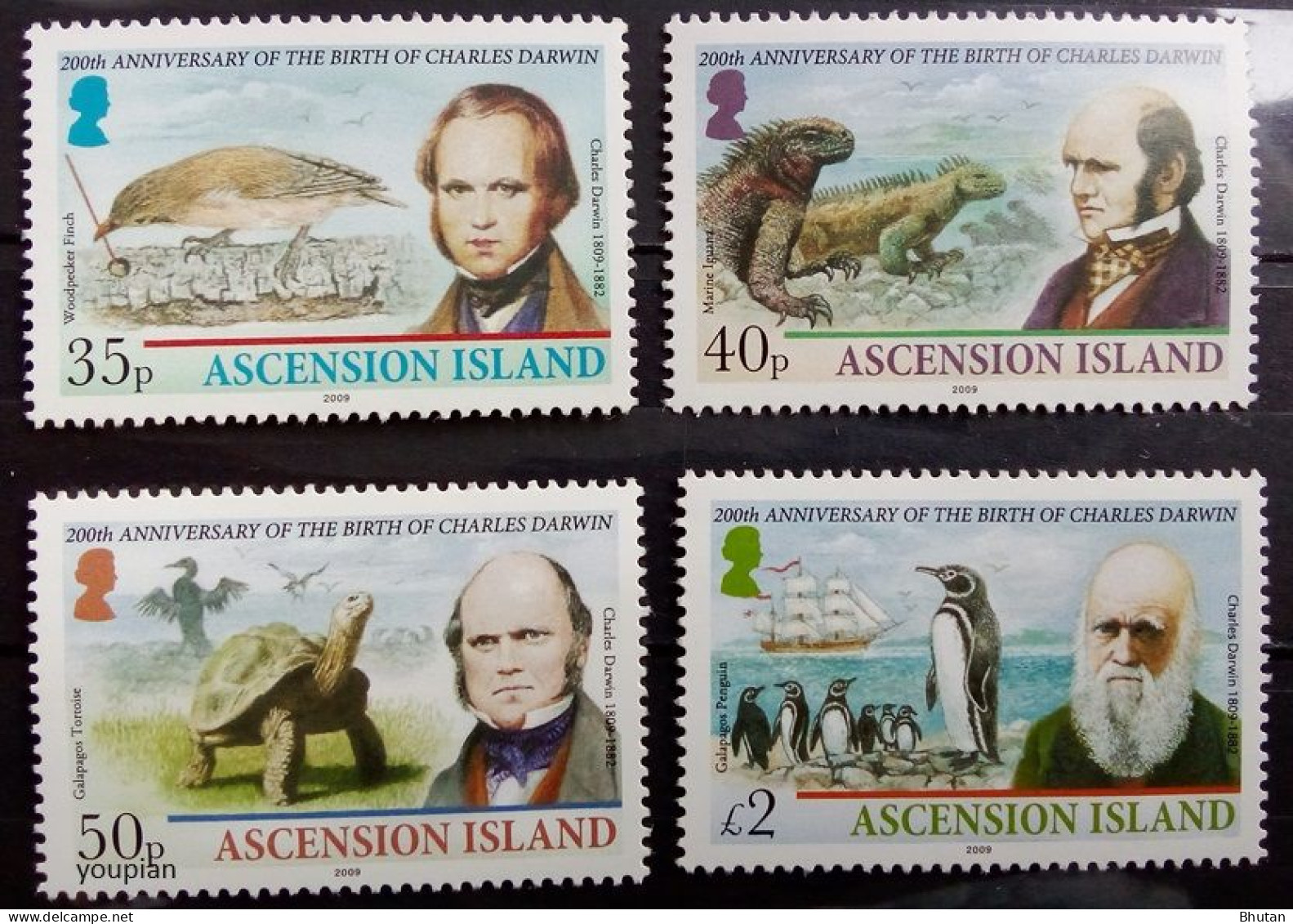 Ascension 2009, 200th Birth Anniversary Of Charles Darwin, MNH Stamps Set - Ascension