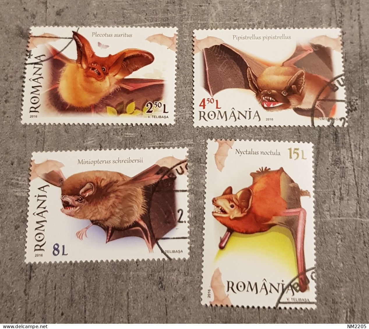 BATS ROMANIA BATS SET USED - Usati