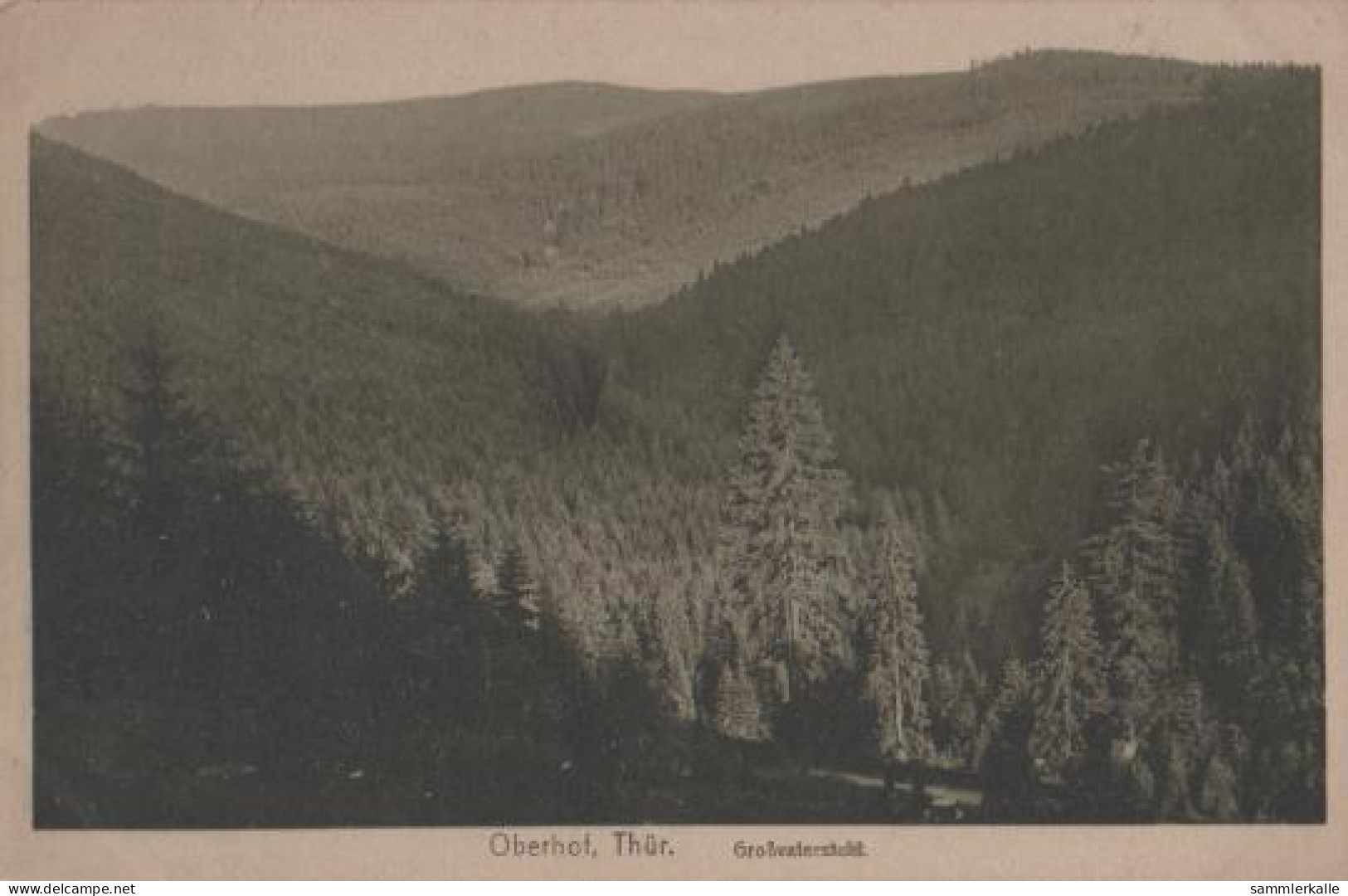 19655 - Oberhof Thür. - Grossvaterstuhl - Ca. 1935 - Oberhof