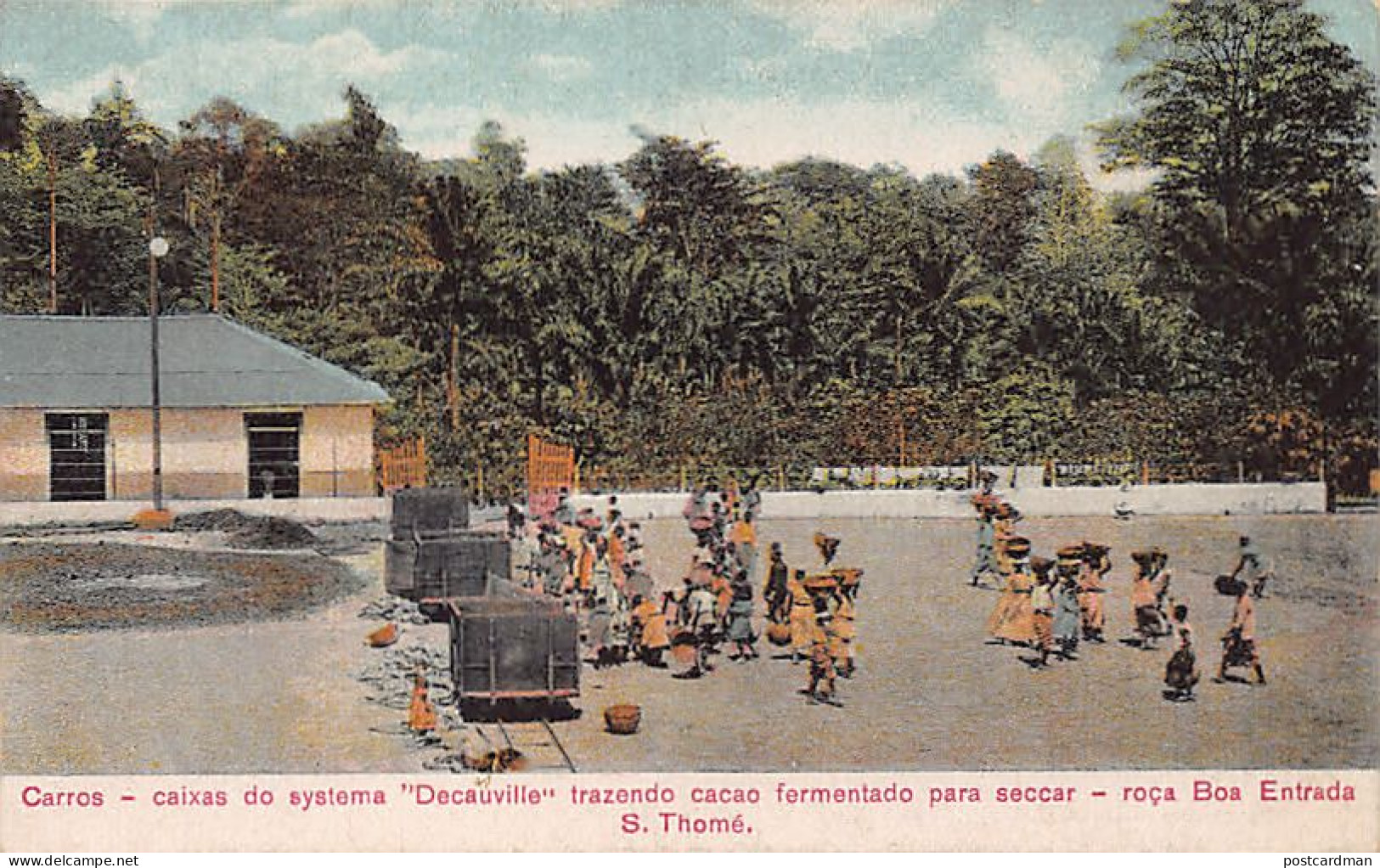 São Tomé & Príncipe - FARM BOA ENTRADA - Cars - Decauville System Wagons Bringing Fermented Cacao To Dry - Publ. Antonio - Sao Tome Et Principe