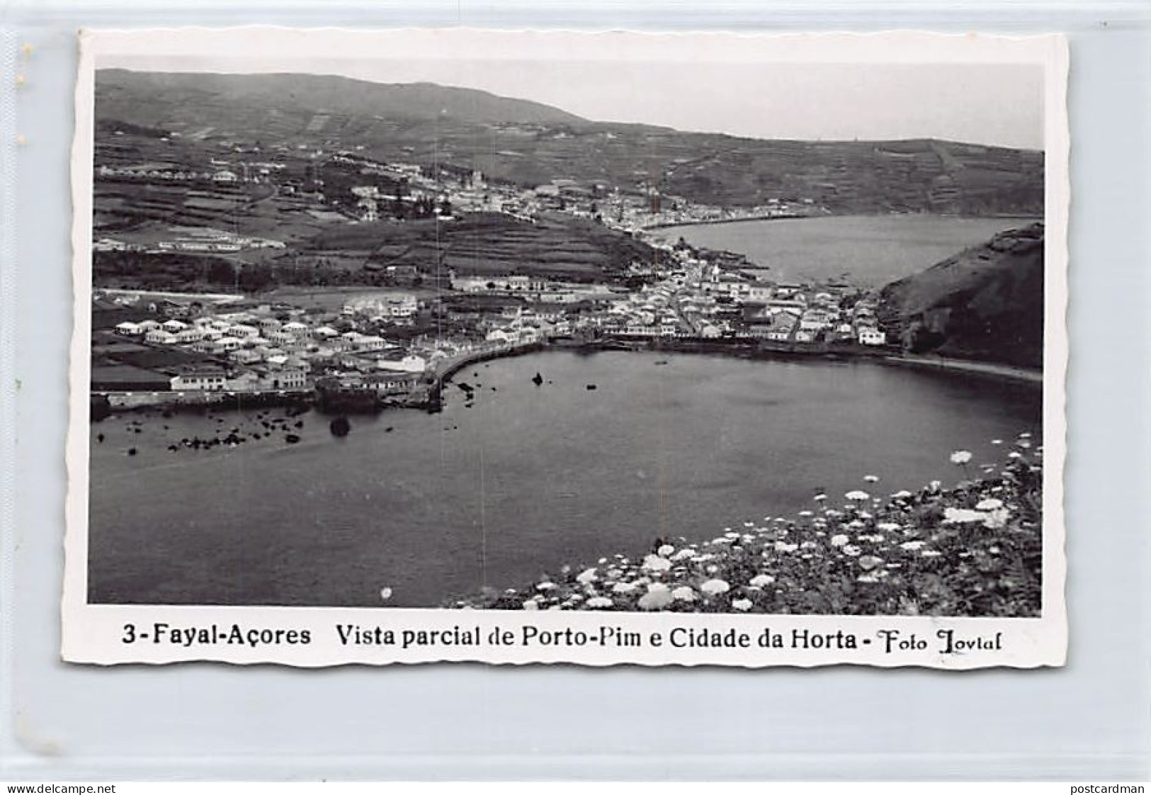 Açores - FAYAL - Vista Parcial De Porto-Pim E Cidade Da Horta - Ed. Foto Jovial 3 - Açores