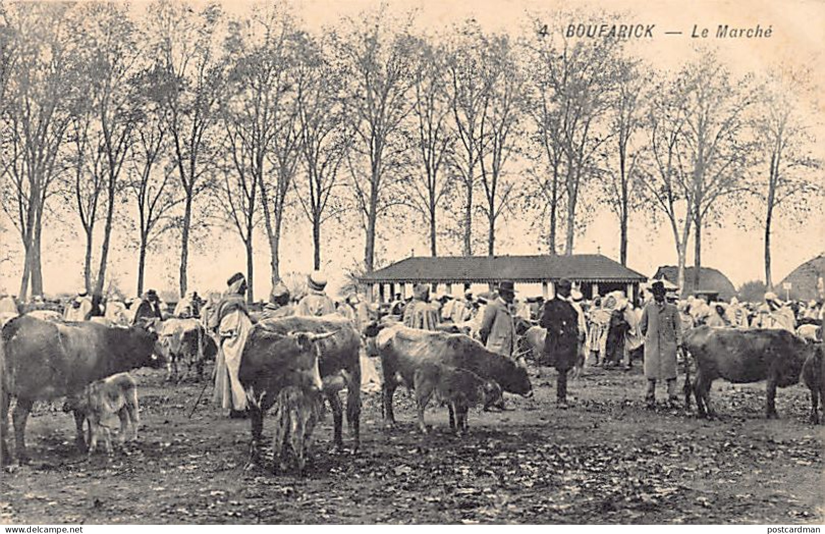 BOUFARICK Boufarik - Le Marché Aux Bestiaux - Other & Unclassified