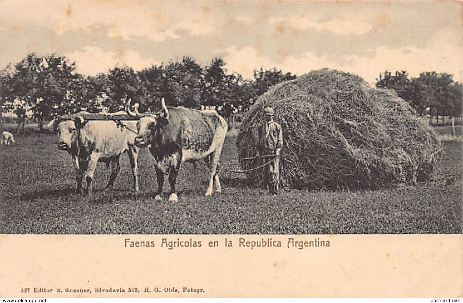 Argentina - Faenas Agricolas - Ed. R. Rosauer 327 - Argentina
