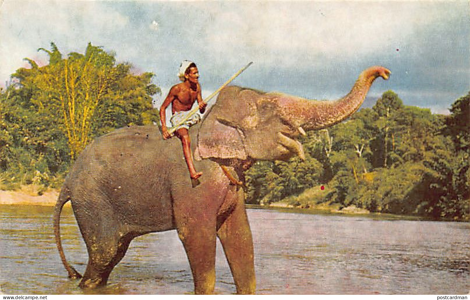 Sri Lanka - KANDY - Elephant And Mahout - Publ. Ceylon Pictorials CP-7 - Sri Lanka (Ceylon)