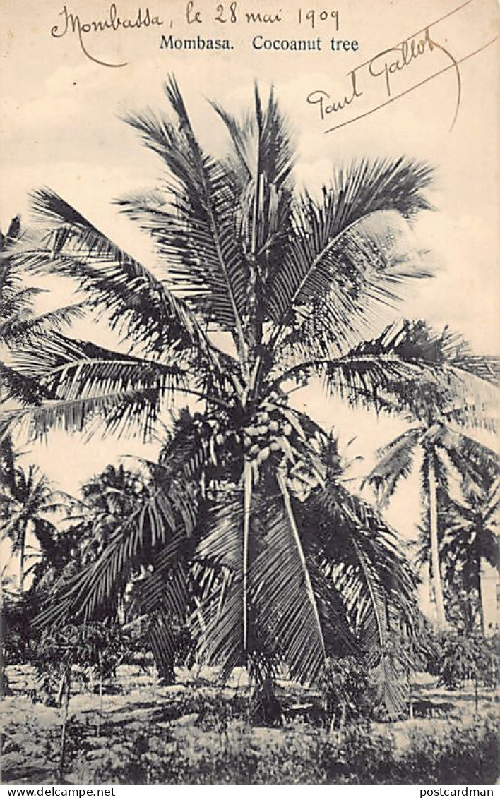 Kenya - MOMBASA - Cocoanut Tree - Publ. Coutinho & Sons  - Kenia