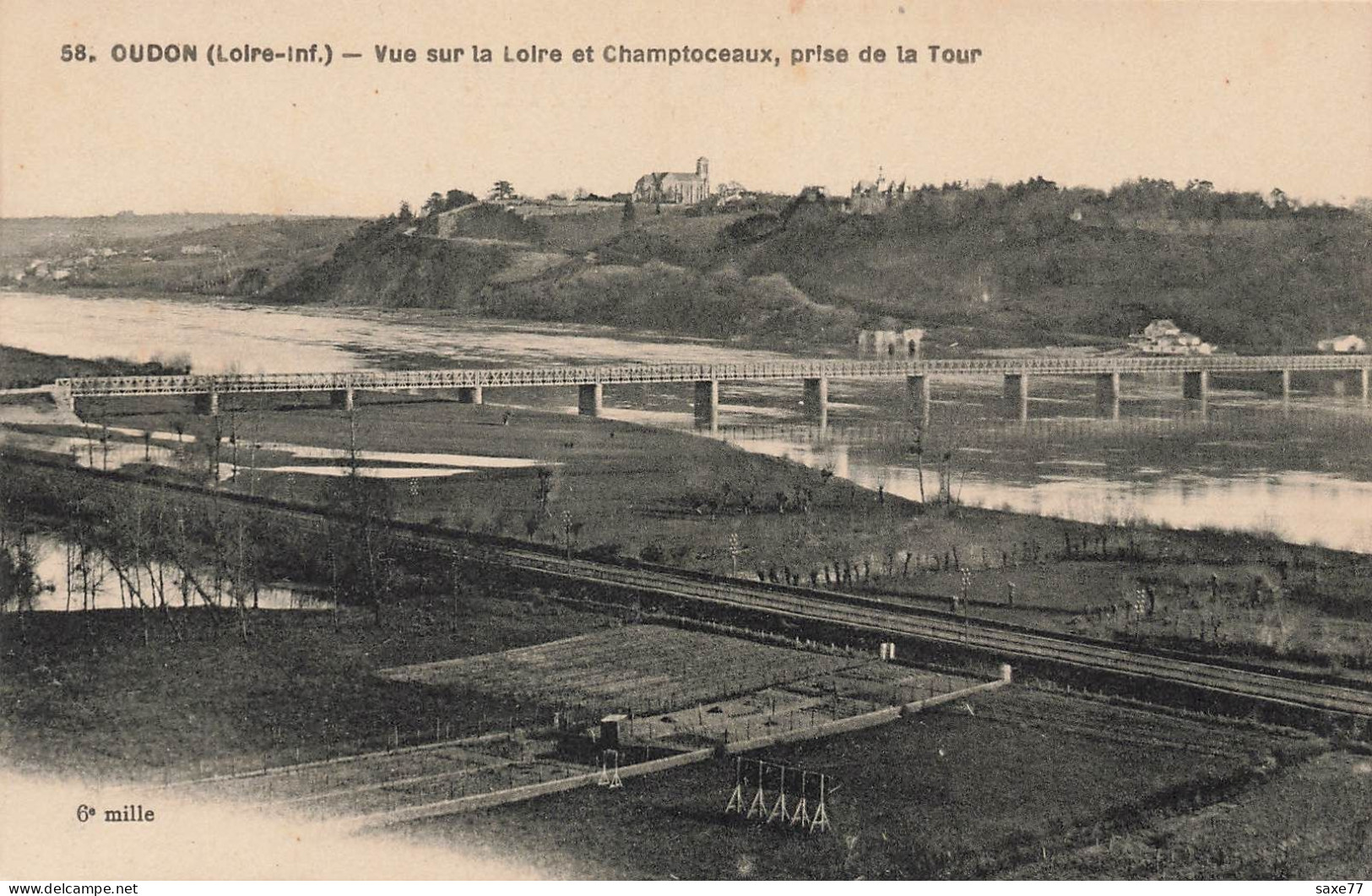 OUDON - Vue Sur La Loire Et Champtoceaux Prise De La Tour - Oudon