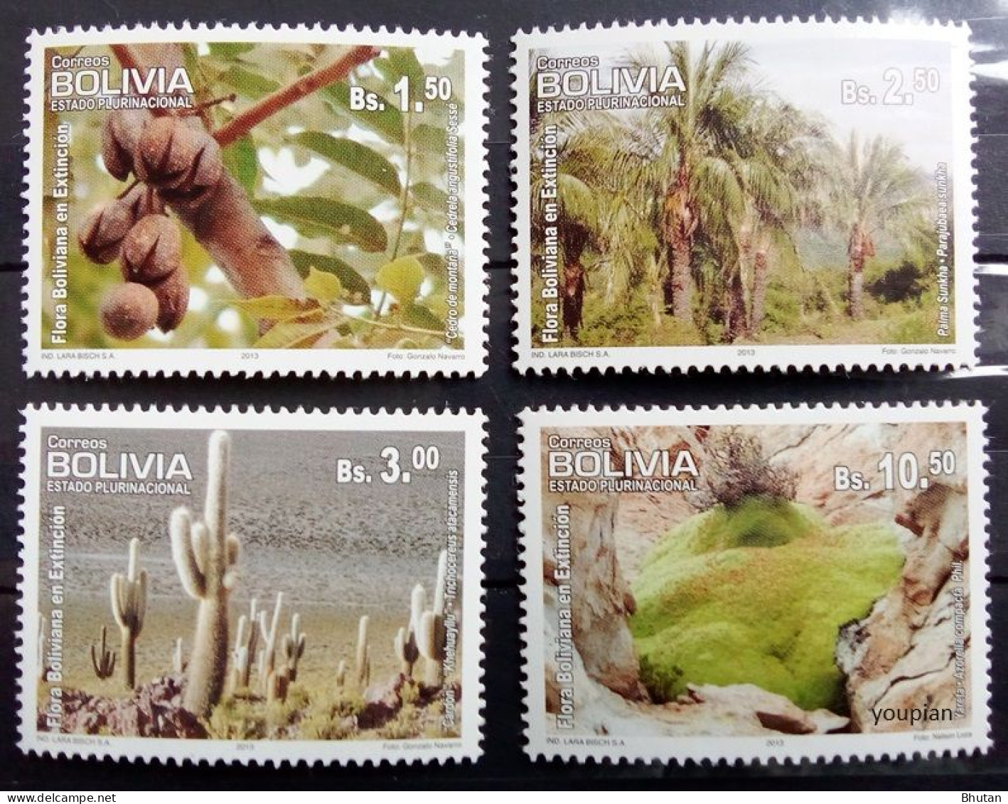 Bolivia 2013, Rare Plants, MNH Stamps Set - Bolivia