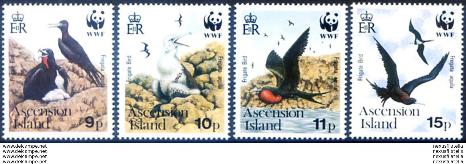 Fauna. Uccelli 1990. - Ascension (Ile De L')