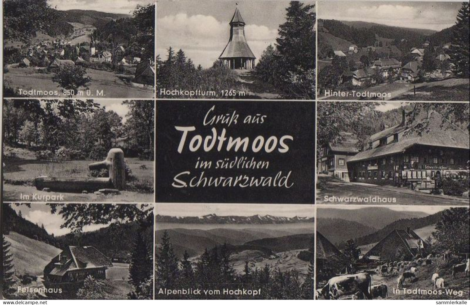 31552 - Todtmoos - U.a. Felsenhaus - 1968 - Todtmoos